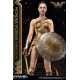 Wonder Woman Statue Wonder Woman Training Costume 79 cm